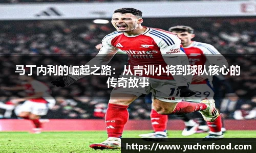 马丁内利的崛起之路：从青训小将到球队核心的传奇故事