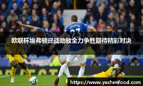欧联杯埃弗顿迎战劲敌全力争胜期待精彩对决